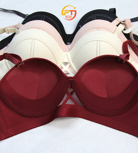 Nội y & Đồ lót nữ | PT24h