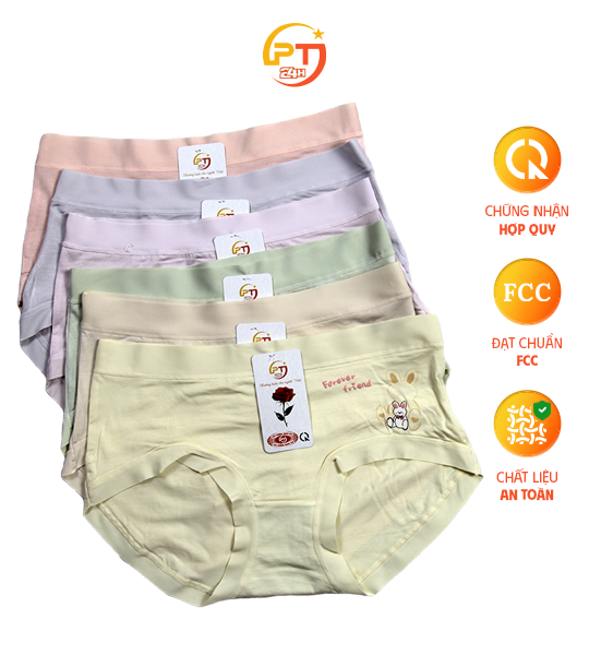 QUẦN LÓT NỮ COTTON MỊN 2